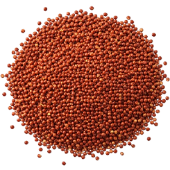 Ragi Crisps