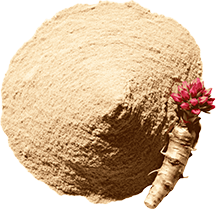 Rhodiola