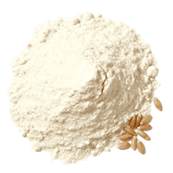 Rice protein isolate