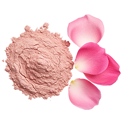 Rose extract