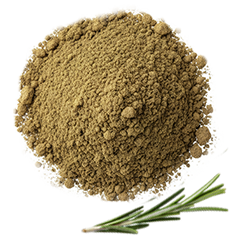 Rosemary Extract