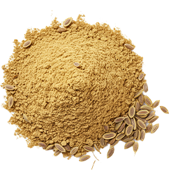 Shatapushpa