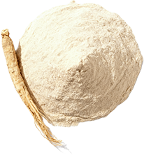 Shatavari