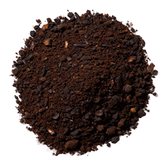 Kerala vanilla bean powder