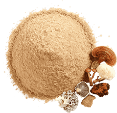 Mushroom Blend
